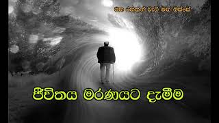 ජීවිතයේ මරණයට දැමීම..@maharahathunwedimagaosse3426