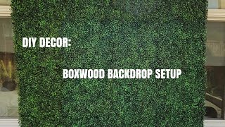 LET'S CREATE: How to Setup a Boxwood (greenery grass) backdrop for photos/balloon garland