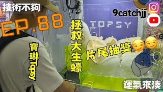 EP. 88 - 將軍澳寶琳 Topsy  技術不夠運氣來湊。香港夾公仔日常。