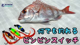 【タイラバ】ジャッカル『ビンビンスイッチ』は何でも釣れる？！ in 岡山県宇野港発 瀬戸内海【真鯛】