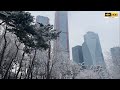 4K.It's the first snow of Seoul.首爾的初雪.好美.//Seoul Walker