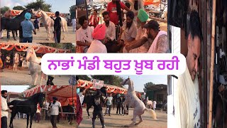 ਨਾਭਾ ਮੰਡੀ ਖਿੱਚ ਦਾ ਕੇਂਦਰ ਬਣੀ ##youtubevideo #horserider #nabha #punjab #shonkisardar