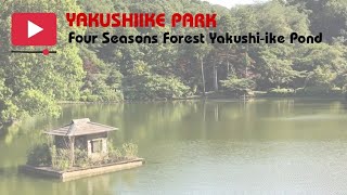 Yakushiike Park : A Great Place for Picnic and Leisurely walk