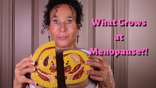 What Grows At Menopause - 143 | Menopause Taylor