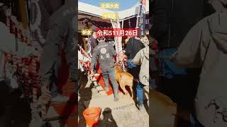 #tosa #tosainu #vlog #全国大会 #土佐犬 #ピットブル #americanpitbullterrier #tosa #tosainu #高知