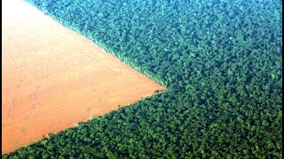 3 Most Incredible Recent Amazon Jungle Discoveries To Blow Your Mind