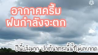 #ชาวนา มาชมบรรยากาศทุ่งนาสีเขียว ฝนตกทำให้ต้นข้าวชุ่มชื่นจ้า🌾🌾@สาวมุกพาม่วน