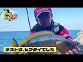 鹿児島県甑島グレ！！＃フカセ釣り 鹿児島釣り＃甑島＃甑島釣り＃グレ 寒グレ 食い渋り ショアジギング ブリ アラ釣り＃大物釣り fishing＃石鯛釣り＃石鯛 釣ってみっどtv