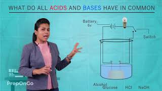 Acids Bases and Salts - 7 | What do all acids and all bases have in common | CBSE Class 10