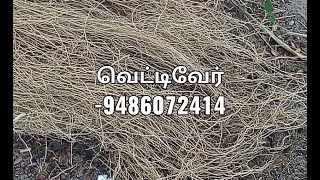 vettiver(வெட்டிவேர்) அழைக்கவும்-9486072414