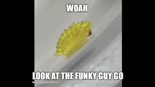 woah look at the funky guy go