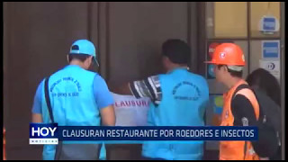 Trujillo: Clausuran restaurante debido a presencia de roedores e insectos