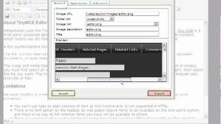 TinyMCE Editor in Webpression CMS