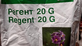 Захист часнику і цибулі від грунтових шкідників.Вносимо грунтовий інсектицид Регент,просте внесення.