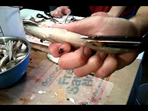 How to Clean Smelt Quick & Easy How to Clean Smelt Quick & Easy