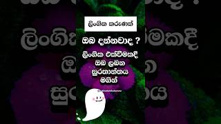 දන්නවද ඔයාට වෙන ලොකුම ලොකු දේ😐 #shorts #education #facts