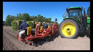 Tobacco 2021 Setting Out & Fertilizing #ncfarmer #tobacco #jocogrows