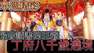 最會讀書的王爺！丁府八千歲遶境｜本週精彩｜寶島神很大online