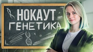 ГЕНЕТИКА. Повторяем материал перед ЕГЭ по биологии | Напольская Ксения