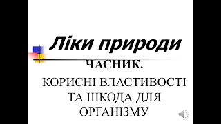 Часник. Корисні властивості та шкода для організму