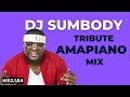 DJ Sumbody Tribute Amapiano Mix | Dj Webaba