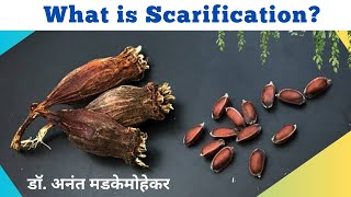 What is Scarification in Seed?