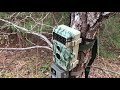 product review blazevideo game trail wildlife camera