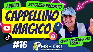 🧢🐟 Come aprire negozio acquari, come scegliere pesci e prodotti giusti