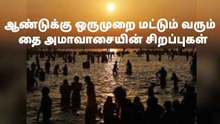 ஆண்டுக்கு ஒருமுறை மட்டும் வரும் தை அமாவாசையின் சிறப்புகள் Yearly Once Thai Amavasai Special #tamil