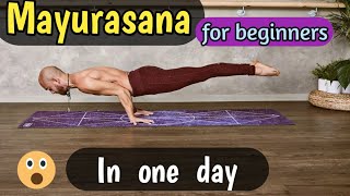 How to do mayurasana (peacock pose) || Mayurasana for beginners || mayurasana for beginners in hindi