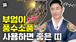 이 직업을 가진 사람은 부엉이 풍수소품을 꼭 사용하세요🦉 부엉이와 맞는 띠│이 위치에는 풍수용품을 놓지 말아라?!