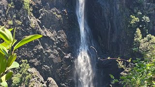 Elenborough Falls and Wingham Bats THE BIG LAP EP 31. @IanandLorrainesAussiadventure