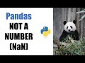 PANDAS ULTIMATE GUIDE TO NAN (NOT A NUMBER)
