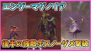 ＃3【最新作】EnderMagnolia Bosses No Damage エンダーマグノリア「堕ちた魔術師デクラン 戦闘人形七号 鉄の魔女リュサイ」ノーダメ撃破