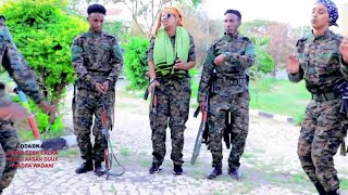 Dhaanto Cusub 2022 Soo Af-jariddii Al shabaab  Hoogtay Al qushaash