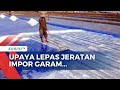 Produksi Garam Dalam Negeri Belum Penuhi Kebutuhan Garam Nasional, Apa Masalahanya?