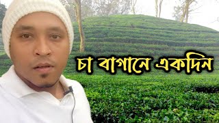 চা বাগানে একদিন | শীতের সকালে চা বাগানের অসাধারন অপরুপ সৌন্দর্য্য। Tea garden- sylhet