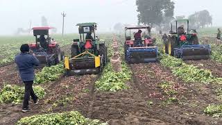 potato digger testing🥔🥔🥔🥔