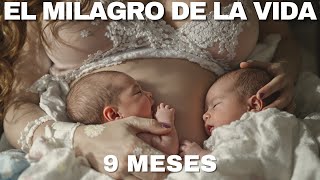 El Cuerpo Humano: Desde la Fecundación Hasta el Nacimiento, El Milagro de la Vida | Documental Épico