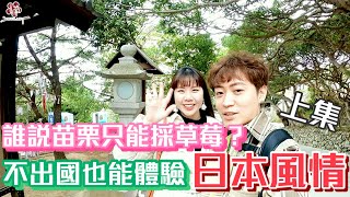 苗栗一日輕旅行｜誰說苗栗只能採草莓？不出國也能體驗的日本風情 【木蘭飛彈飛飛飛系列】