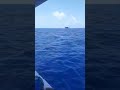 navio cargueiro quase vira barco de pescadores em alto mar nÁufrago navio acidente