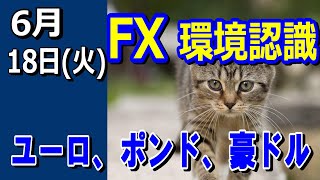 【TAKA FX】ドル、円、ユーロ、ポンド、豪ドルの環境認識解説。6月18日(火)