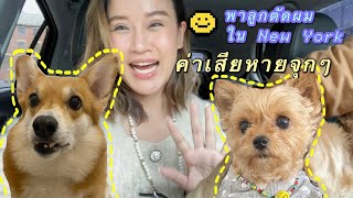 Vlog พาลูกไปตัดผม ร้านของคนไทย เดินเล่นรอชิลๆแถวๆ South Street Seaport New York