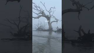 Jekyll Island Georgia Travel Guide: Best Things to Do In 2026