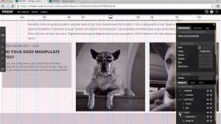 Layout: Nested grid