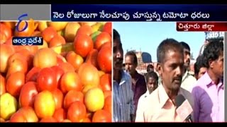 Huge Slump In Tomato Prices At Madanapalle Of Chittor District