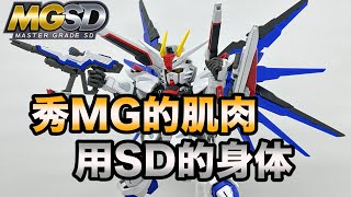 万代成功增设全新《纳税窗口》MGSD FREEDOM