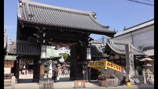 梅の花も真っ盛りの大阪天満宮　2019.03.09