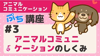 動物と話すためには脳のしくみを知ることが大切です／アニメーションでわかる