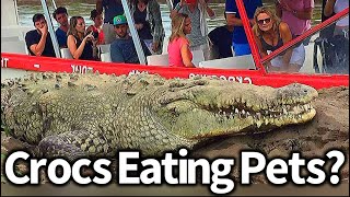 Florida Has a Crocodile Problem?